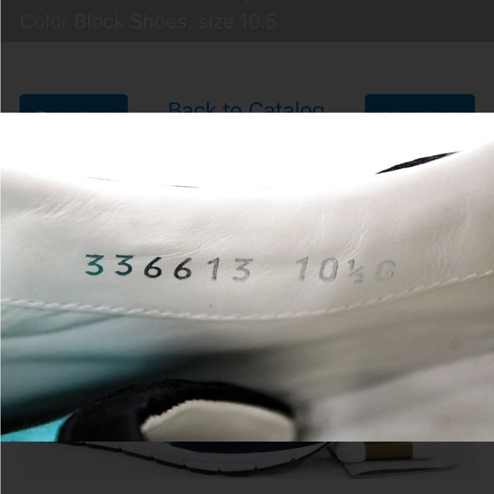 Gucci Color Block Blue and Red Designer Sneakers